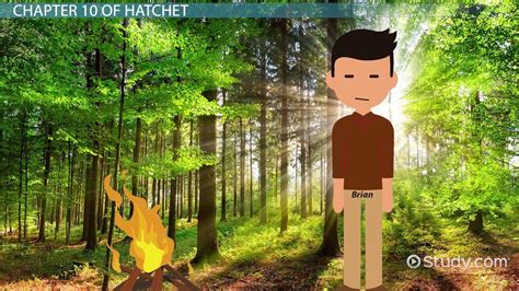 hatchet chapter 10 summary|More.